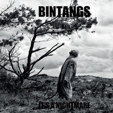 Afbeelding in Gallery-weergave laden, Bintangs - It's A Nightmare (LP)