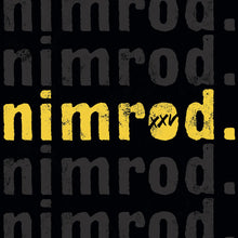 Afbeelding in Gallery-weergave laden, Green Day - Nimrod. XXV (LP)