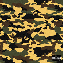 Load image into Gallery viewer, SMIB - EENDRAGHT MAECKT MAGHT (LP)