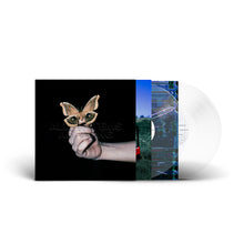 Load image into Gallery viewer, Soulwax - All systems are lying (LP)