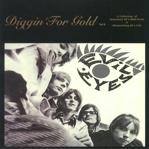 V/A (Various Artists) - Diggin' for gold vol.6 (LP)
