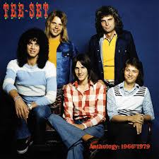Tee Set - Anthology: 1966-1979 (LP)