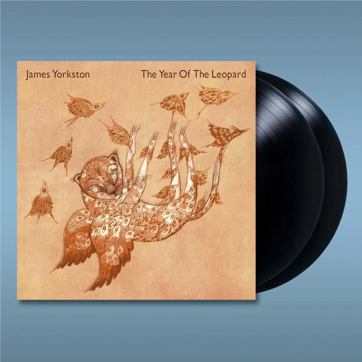 James Yorkston – The Year Of The Leopard  2LP