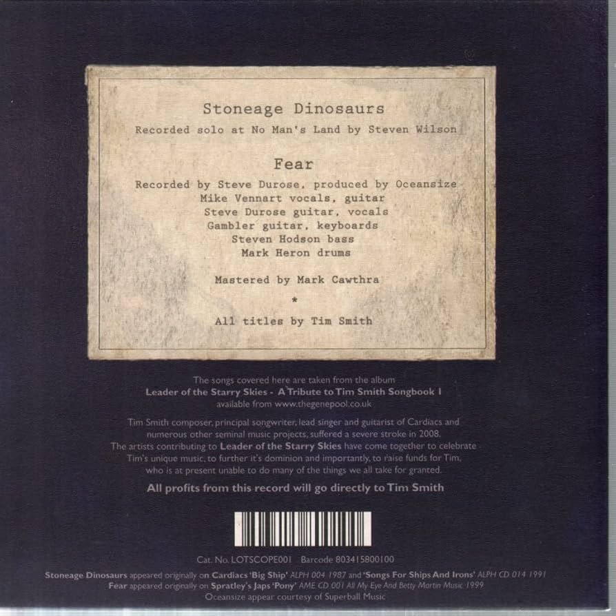 Steven Wilson / Oceansize - Stoneage Dinosaurs / Fear (7-inch single)