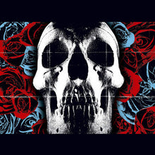 Load image into Gallery viewer, Deftones - Deftones (LP)
