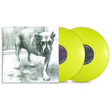 Load image into Gallery viewer, Alice In Chains - Alice in chains (LP)
