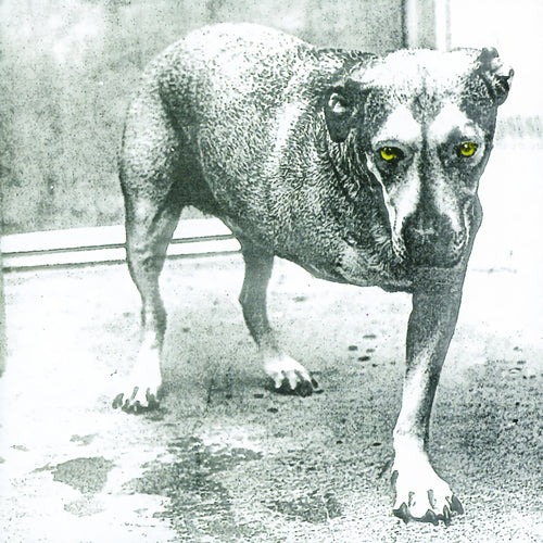 Alice In Chains - Alice in chains (LP)