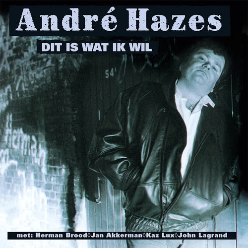 Andre Hazes - Dit is wat ik wil Gold Vinyl (LP)