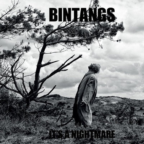 Bintangs - It's A Nightmare (LP)