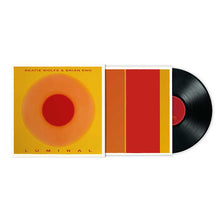 Afbeelding in Gallery-weergave laden, Beatie Wolfe Brian Eno - Luminal (LP)
