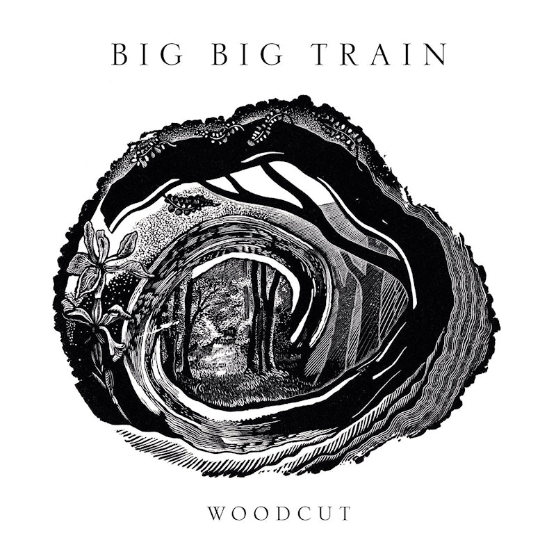 Big Big Train - Woodcut (blu ray movie)