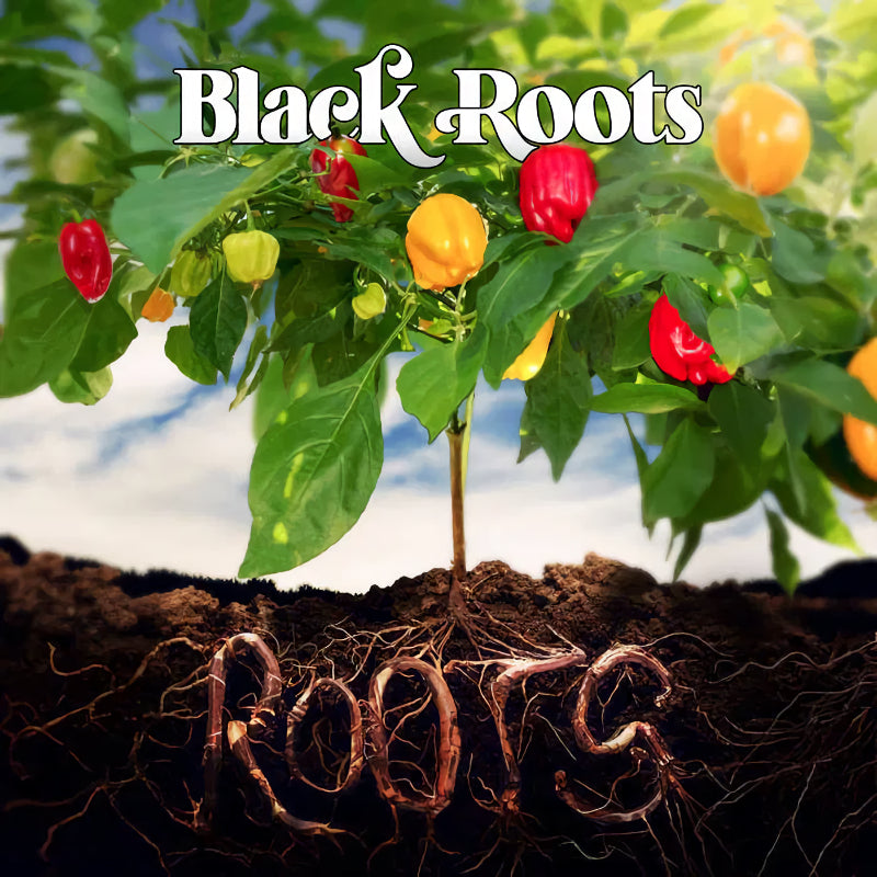 Black Roots - Roots (LP)