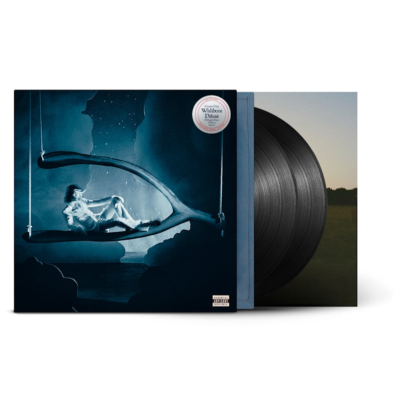 Conan Gray - Wishbone deluxe (LP)
