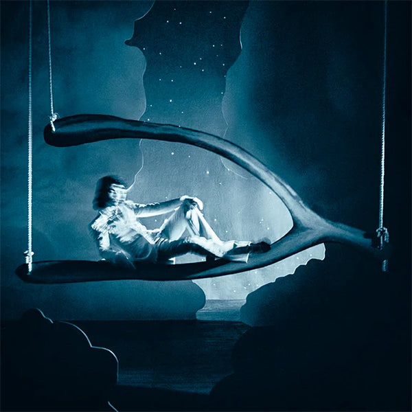 Conan Gray - Wishbone deluxe Spilled Wine Vinyl (LP)