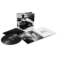 Afbeelding in Gallery-weergave laden, David Gilmour - Luck And Strange (LP)
