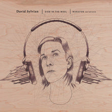 Load image into Gallery viewer, David Sylvian - Died In The Wool | Manafon Variations (LP)
