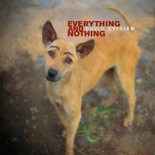 Afbeelding in Gallery-weergave laden, David Sylvian - Everything &amp; Nothing 3LP (LP)
