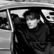 Afbeelding in Gallery-weergave laden, David Sylvian - Gone to earth (LP)
