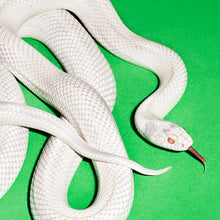 Load image into Gallery viewer, Deftones - Private music (LP)
