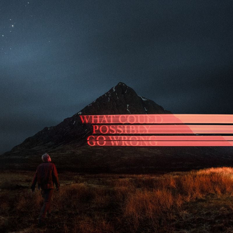 Dominic Fike - What Could Possibly Go Wrong (LP)