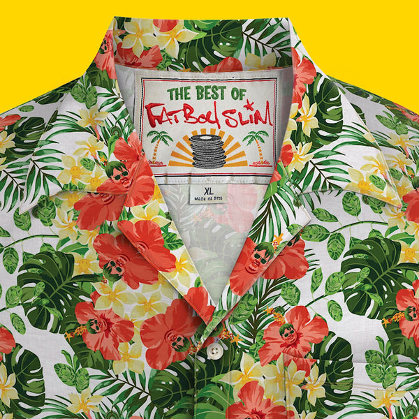 Fatboy Slim - The best of (LP)