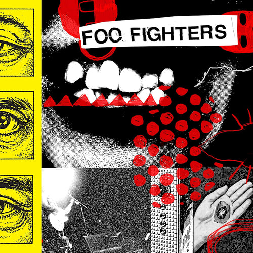 Foo Fighters - Your favorite toy (LP)