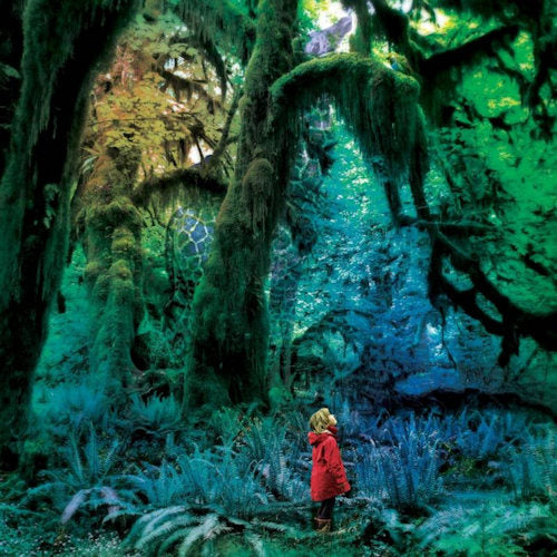 Jacco Gardner - Cabinet Of Curiosities (LP)