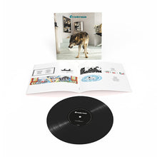 Afbeelding in Gallery-weergave laden, Grinderman - Grinderman 2 (LP)
