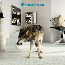 Afbeelding in Gallery-weergave laden, Grinderman - Grinderman 2 (LP)

