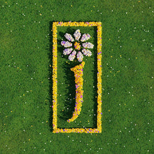 Afbeelding in Gallery-weergave laden, James - Nothing but love - the definitive best of (LP)
