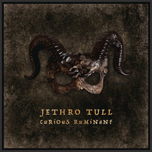 Afbeelding in Gallery-weergave laden, Jethro Tull - Curious Ruminant (LP)
