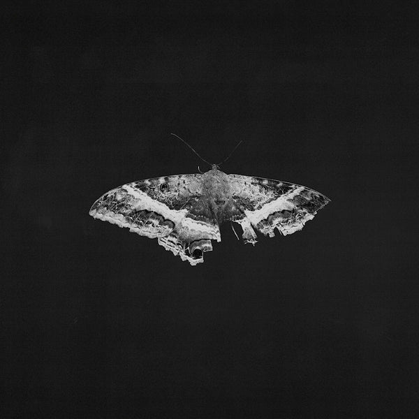 Kendrick Lamar - To pimp a butterfly (LP)