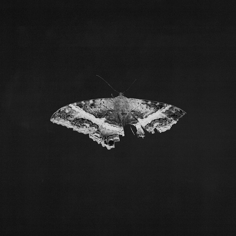 Kendrick Lamar - To pimp a butterfly (LP)