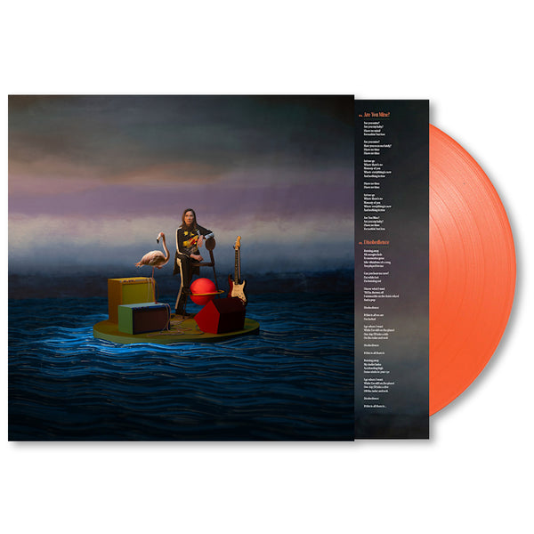 Kim Deal - Nobody Loves You More (LP)