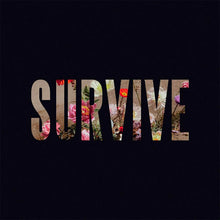 Afbeelding in Gallery-weergave laden, Lewis Capaldi - Survive ep
