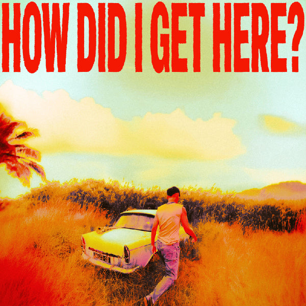 Louis Tomlinson - How did i get here? (LP)