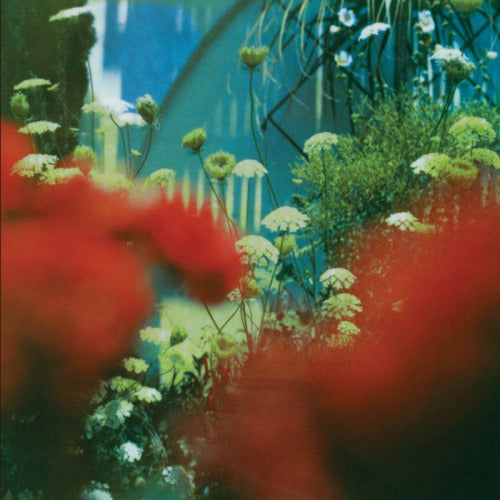 Pulled Apart By Horses - The Haze (LP)