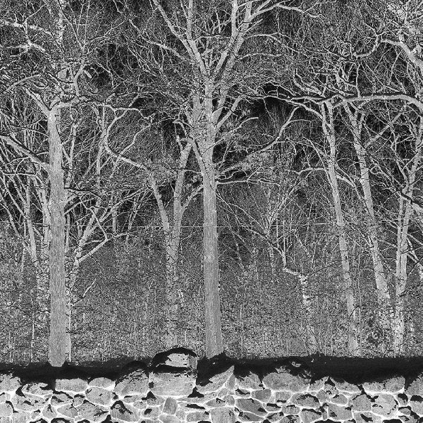 Pile - Sunshine and balance beams (boris purple) (LP)