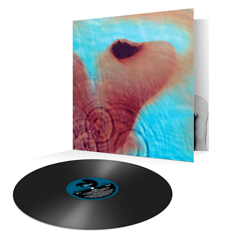 Pink Floyd - Meddle (LP)