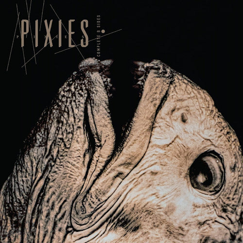 Pixies - Complete b-sides: 1988-97 (LP)