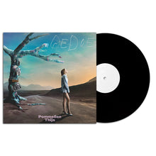 Afbeelding in Gallery-weergave laden, Pommelien Thijs - Gedoe (LP)
