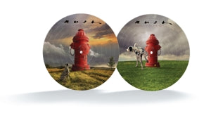 RUSH - SIGNALS  PICTURE DISC