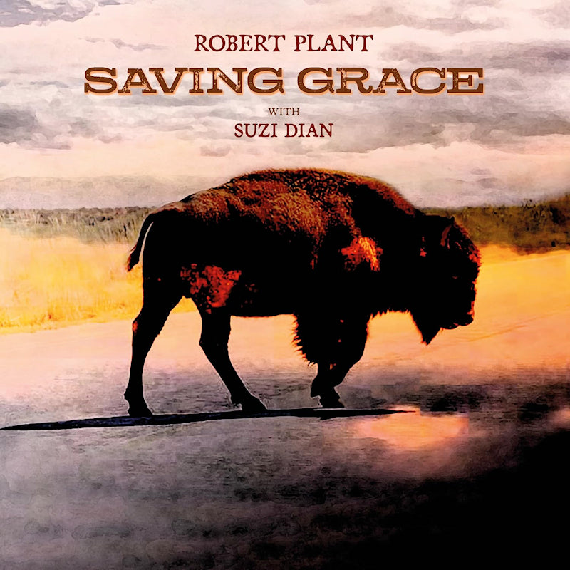 Robert Plant - Saving grace Fruit Punch (LP)