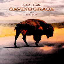 Afbeelding in Gallery-weergave laden, Robert Plant - Saving grace (LP)

