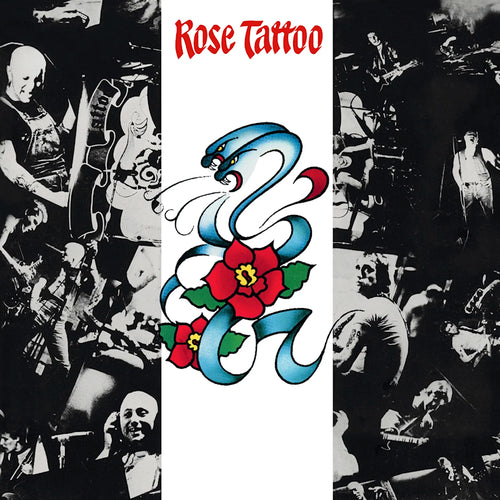 Rose Tattoo - Rose tattoo (LP)