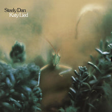 Load image into Gallery viewer, Steely Dan - Katy Lied (LP)
