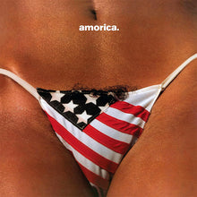 Afbeelding in Gallery-weergave laden, The Black Crowes - Amorica (LP)
