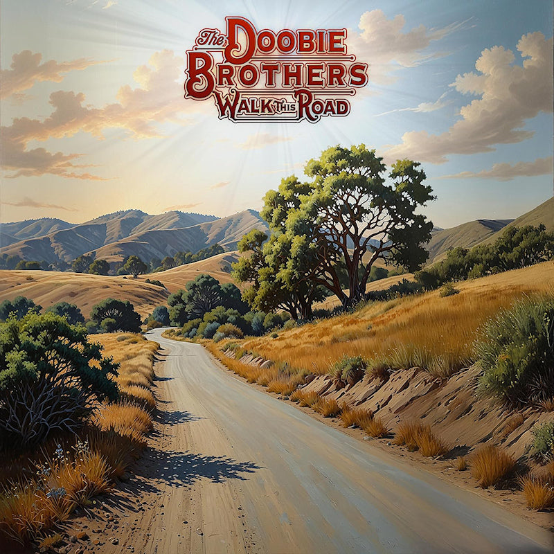 The Doobie Brothers - Walk this road (LP)