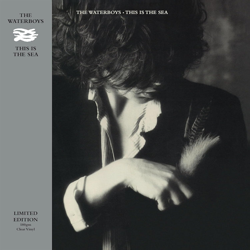 The Waterboys - This is the sea (LP)