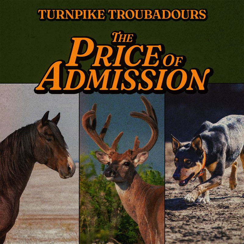 Turnpike Troubadours - The price of admission (LP)